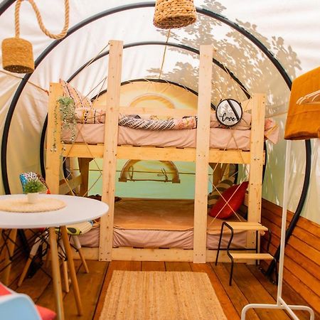 Dragonfly Gardens - The Wagons Hotel Brasov Luaran gambar