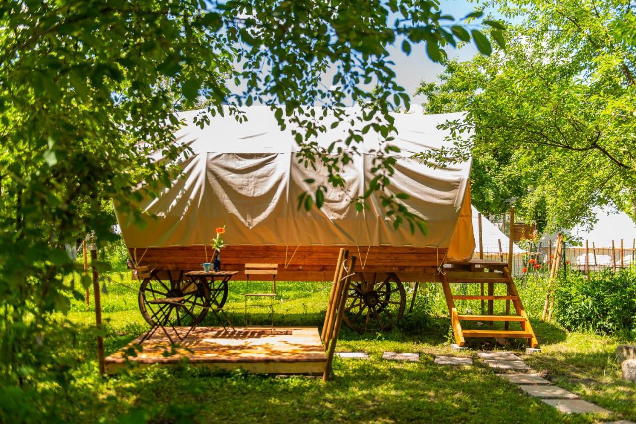 Dragonfly Gardens - The Wagons Hotel Brasov Luaran gambar