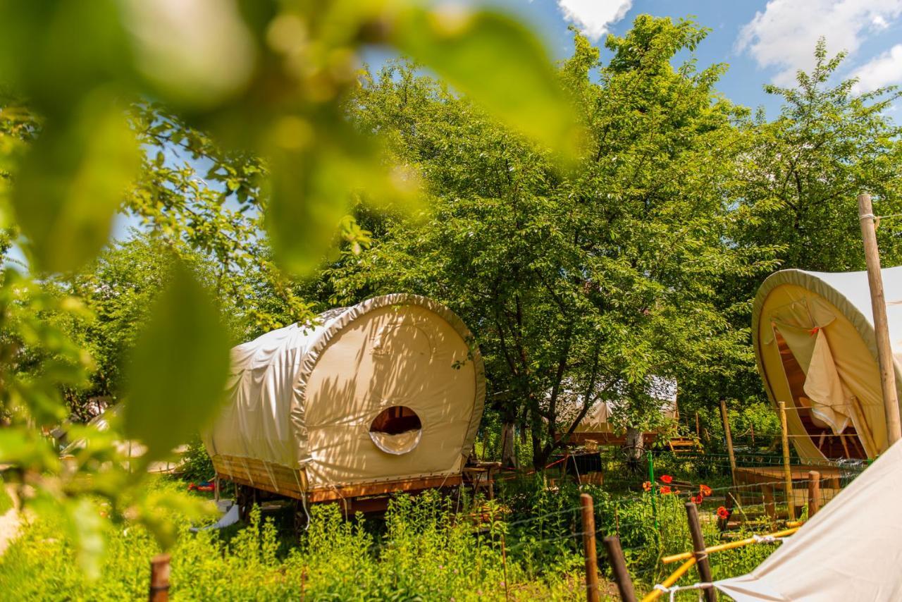 Dragonfly Gardens - The Wagons Hotel Brasov Luaran gambar