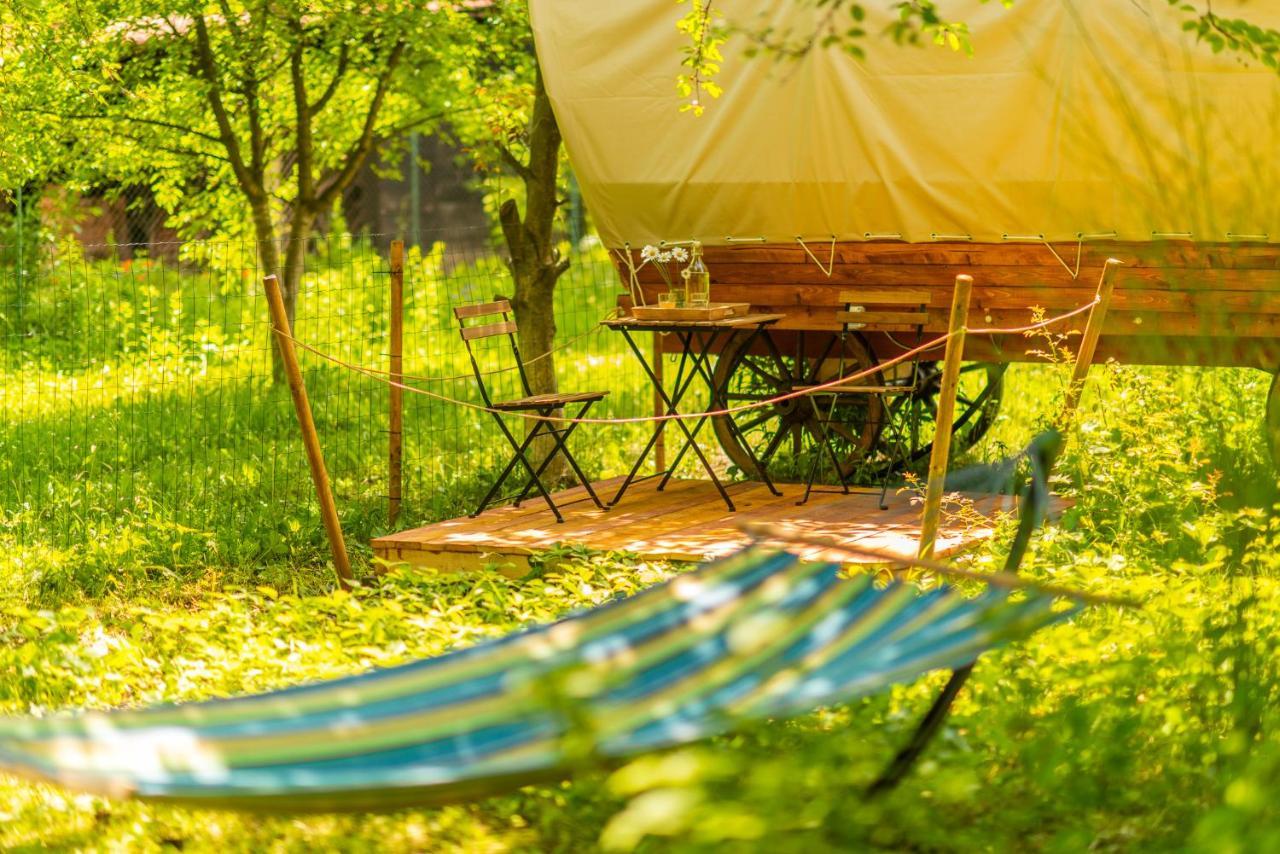 Dragonfly Gardens - The Wagons Hotel Brasov Luaran gambar