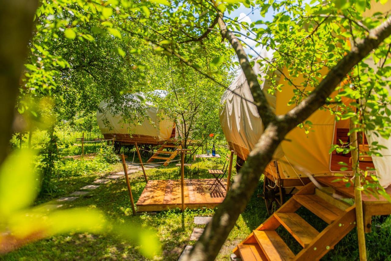Dragonfly Gardens - The Wagons Hotel Brasov Luaran gambar