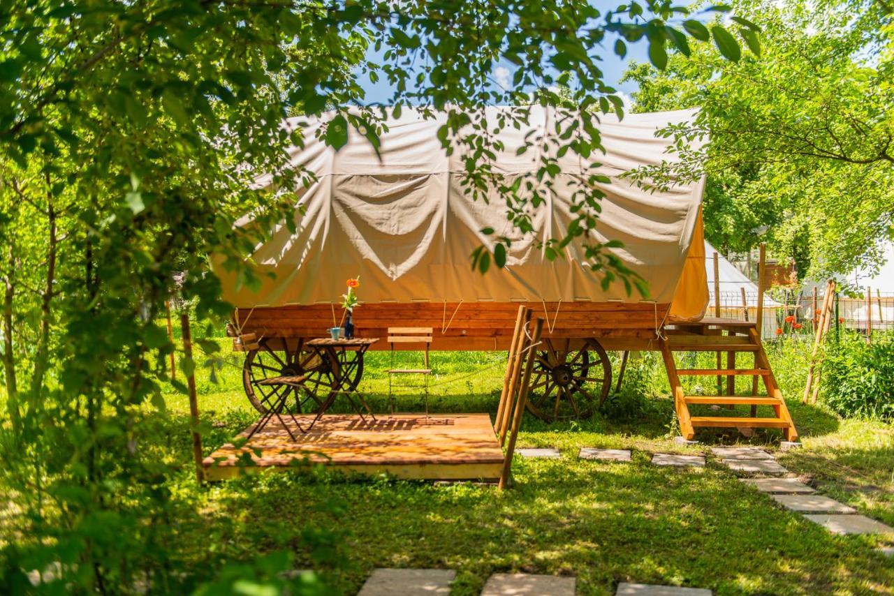 Dragonfly Gardens - The Wagons Hotel Brasov Luaran gambar