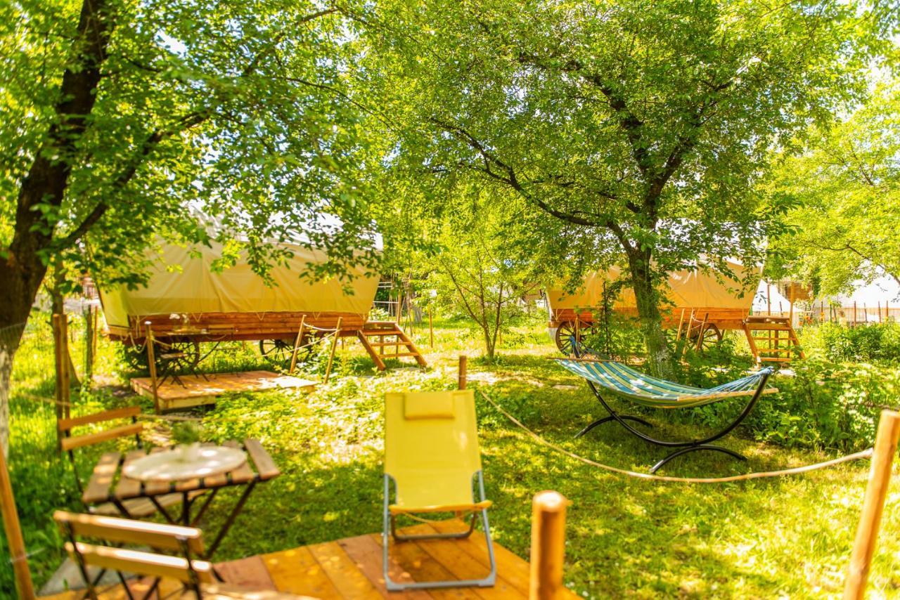 Dragonfly Gardens - The Wagons Hotel Brasov Luaran gambar