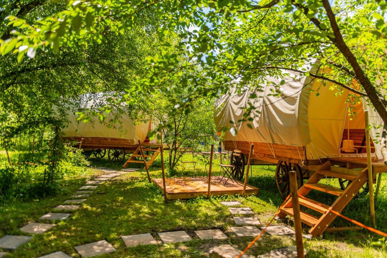 Dragonfly Gardens - The Wagons Hotel Brasov Luaran gambar