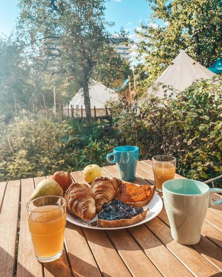 Dragonfly Gardens - The Wagons Hotel Brasov Luaran gambar