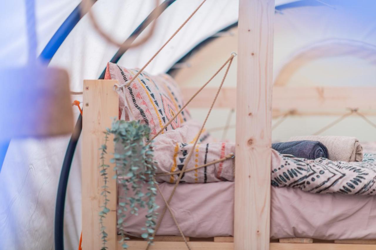 Dragonfly Gardens - The Wagons Hotel Brasov Luaran gambar
