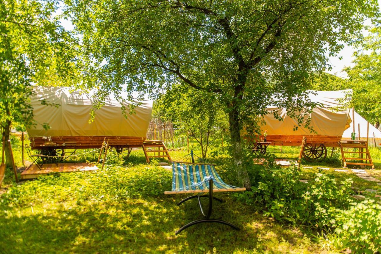 Dragonfly Gardens - The Wagons Hotel Brasov Luaran gambar