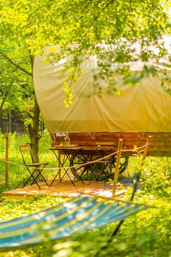 Dragonfly Gardens - The Wagons Hotel Brasov Luaran gambar