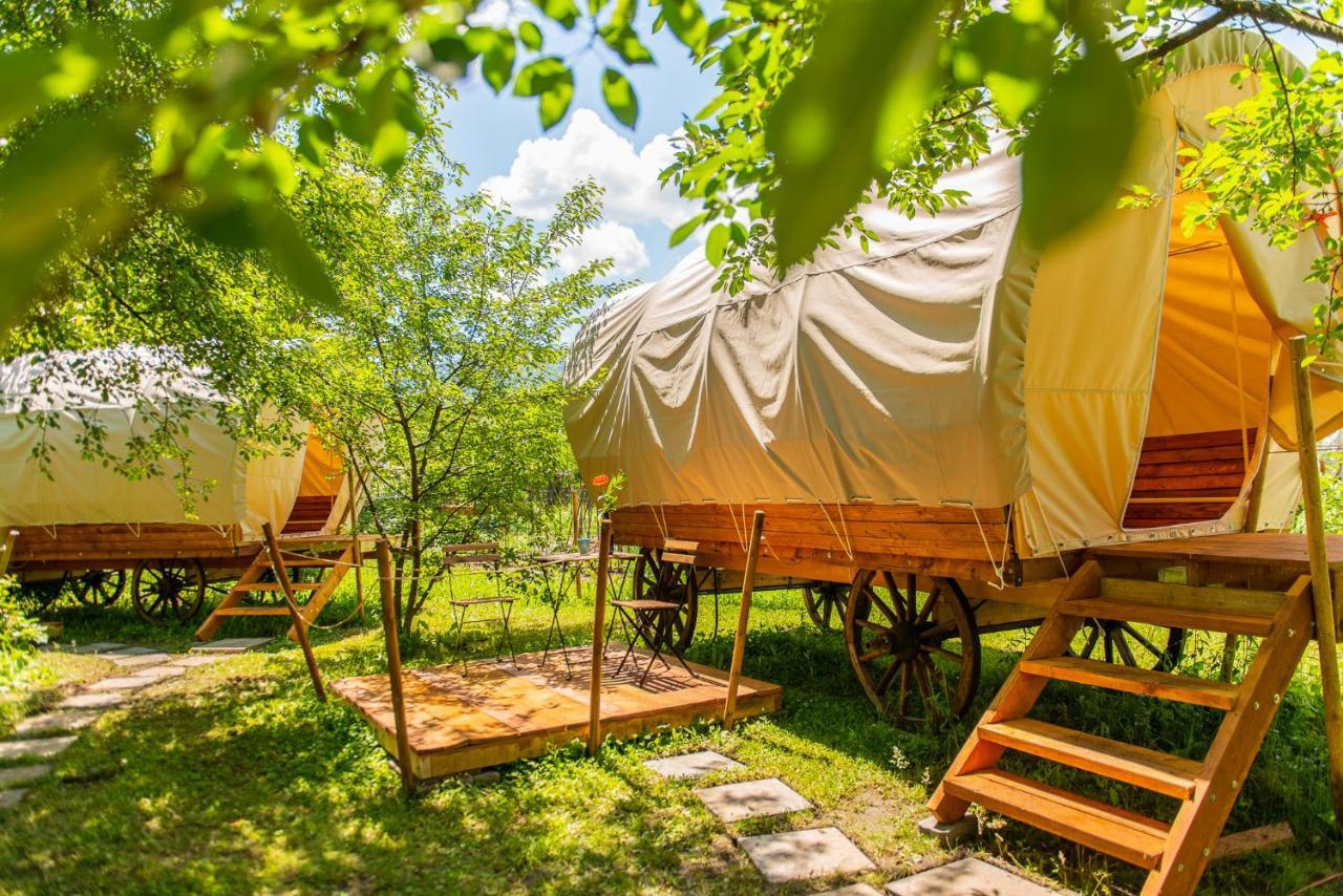 Dragonfly Gardens - The Wagons Hotel Brasov Luaran gambar