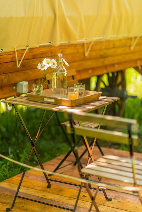 Dragonfly Gardens - The Wagons Hotel Brasov Luaran gambar