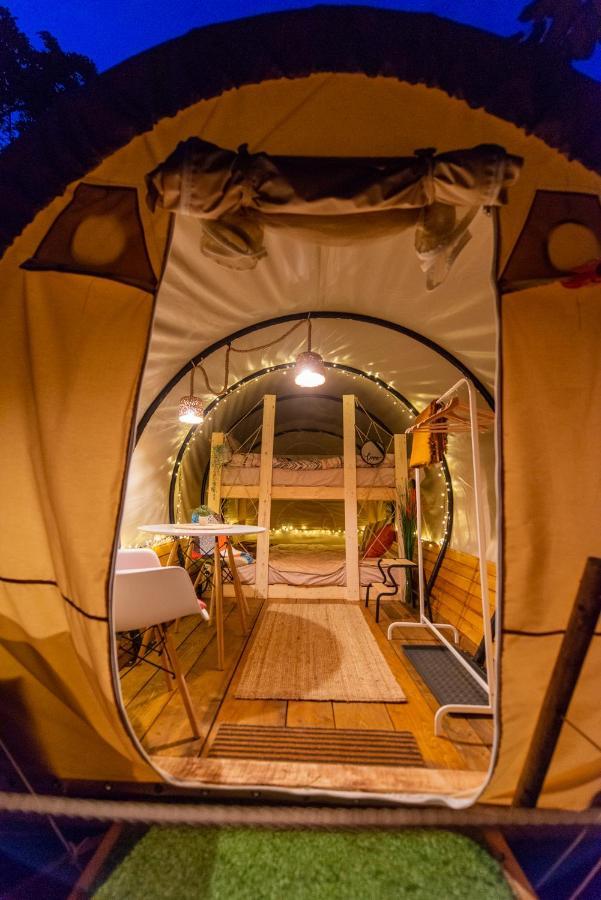 Dragonfly Gardens - The Wagons Hotel Brasov Luaran gambar