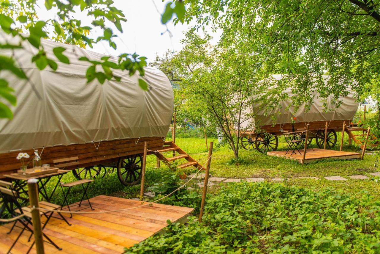 Dragonfly Gardens - The Wagons Hotel Brasov Luaran gambar