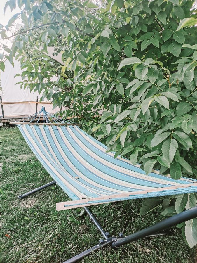 Dragonfly Gardens - The Wagons Hotel Brasov Luaran gambar