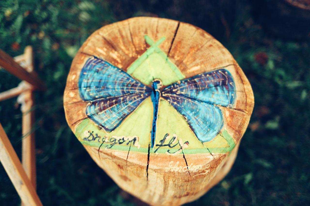 Dragonfly Gardens - The Wagons Hotel Brasov Luaran gambar