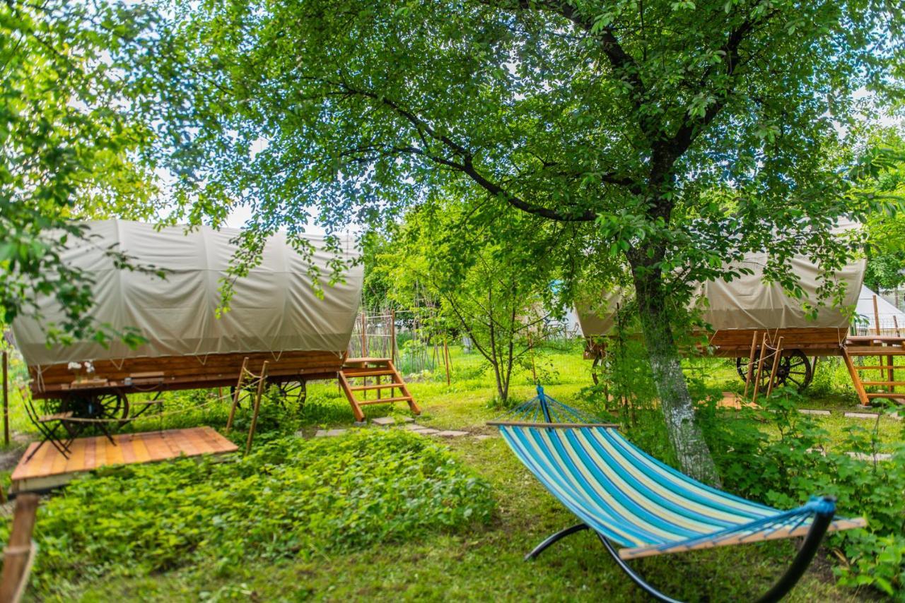 Dragonfly Gardens - The Wagons Hotel Brasov Luaran gambar