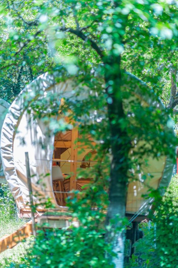 Dragonfly Gardens - The Wagons Hotel Brasov Luaran gambar