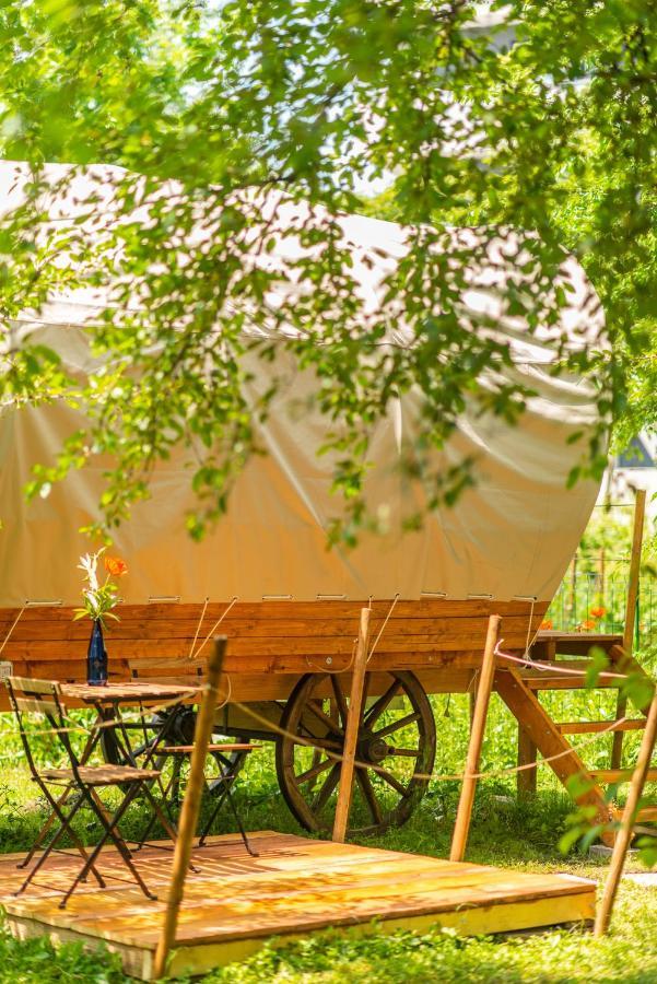 Dragonfly Gardens - The Wagons Hotel Brasov Luaran gambar