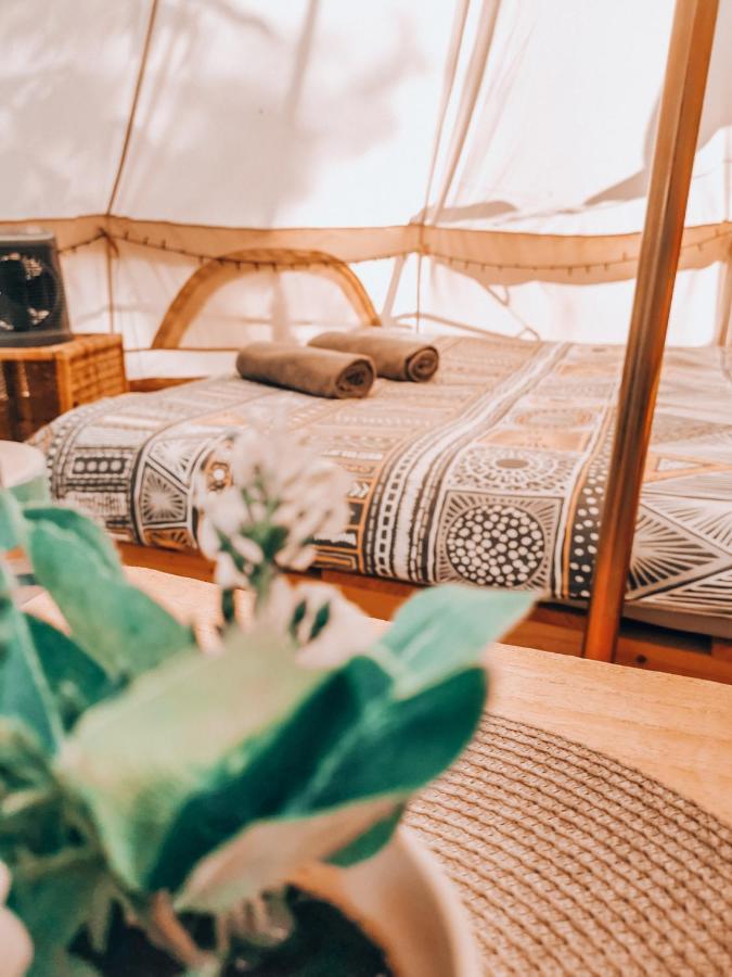 Dragonfly Gardens - The Wagons Hotel Brasov Luaran gambar