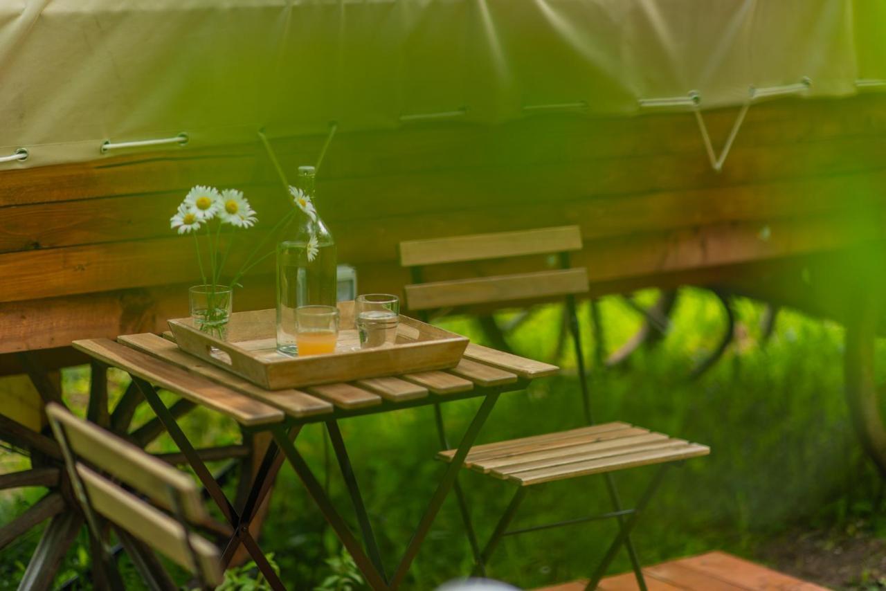 Dragonfly Gardens - The Wagons Hotel Brasov Luaran gambar