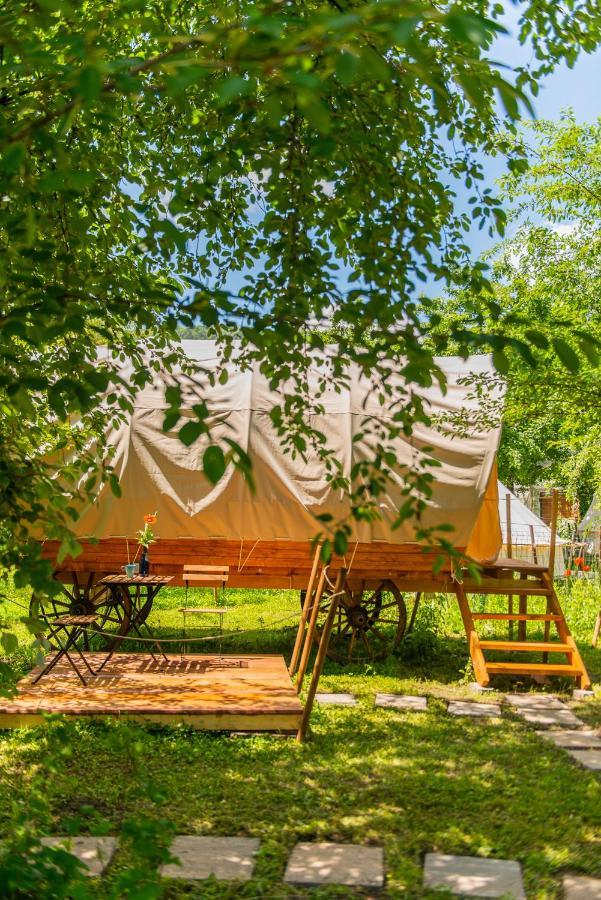 Dragonfly Gardens - The Wagons Hotel Brasov Luaran gambar
