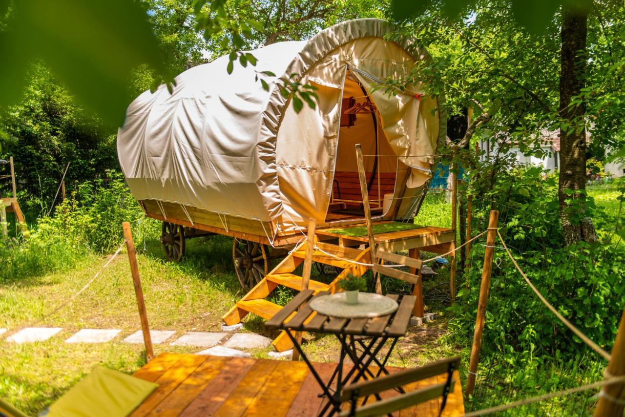 Dragonfly Gardens - The Wagons Hotel Brasov Luaran gambar