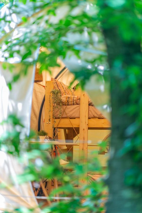 Dragonfly Gardens - The Wagons Hotel Brasov Luaran gambar