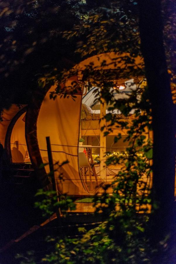 Dragonfly Gardens - The Wagons Hotel Brasov Luaran gambar