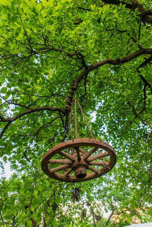Dragonfly Gardens - The Wagons Hotel Brasov Luaran gambar
