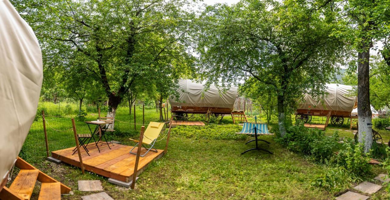 Dragonfly Gardens - The Wagons Hotel Brasov Luaran gambar